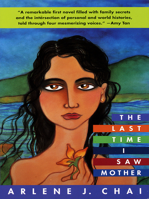 Cover image for The Last Time I Saw Mother